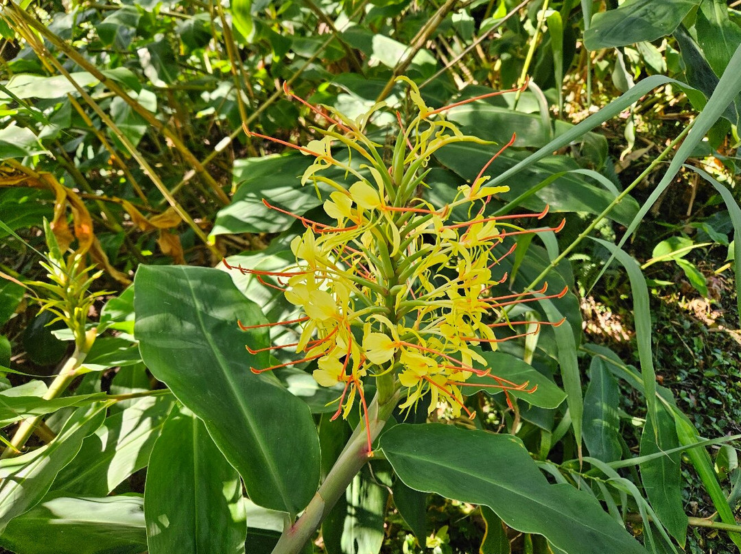 Trilho Moinho do Félix - Cascatas-Salga必去景点