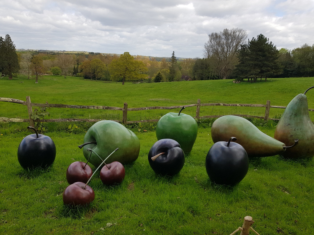 Borde Hill Garden-Haywards Heath必去景点
