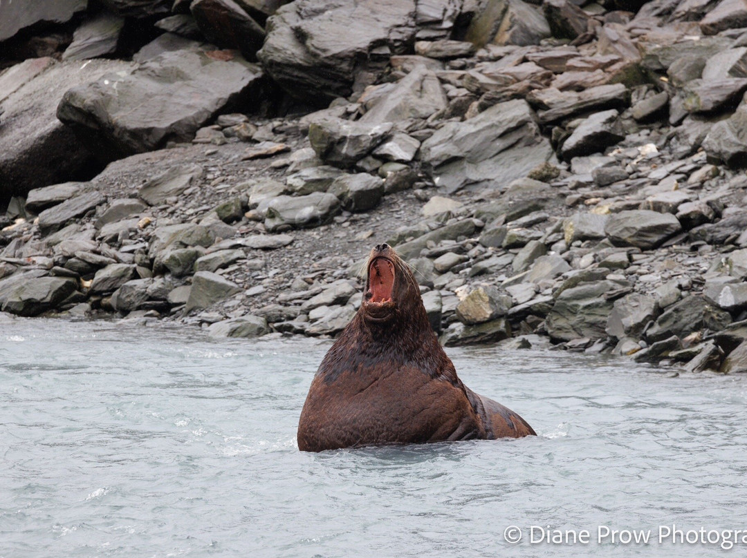 The Solomon Gulch Hatchery-瓦尔迪兹必去景点