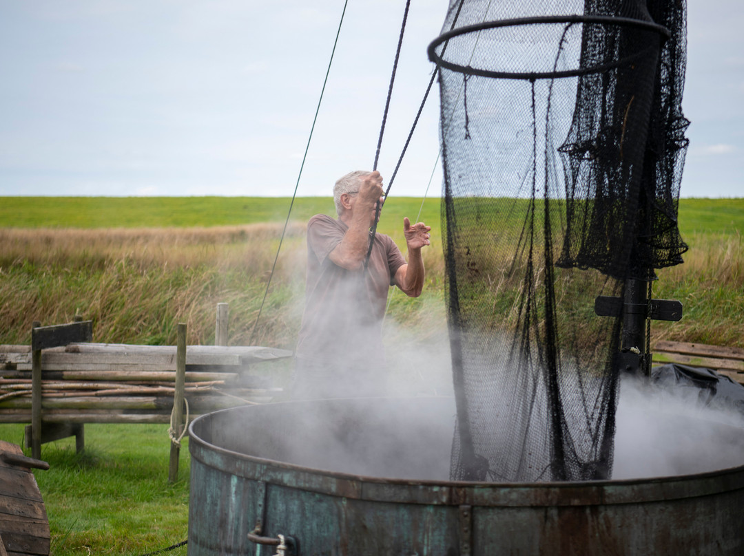 Wieringer Eiland Museum Jan Lont-Hippolytushoef必去景点