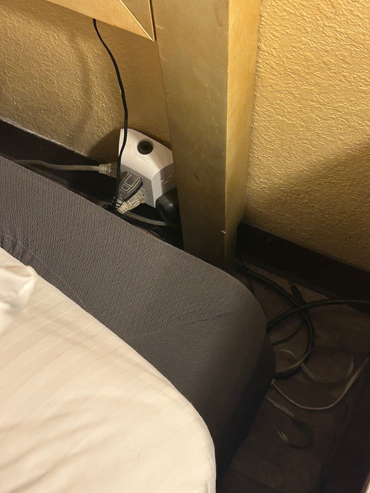 Quality Inn Alachua - Gainesville Area-客卧