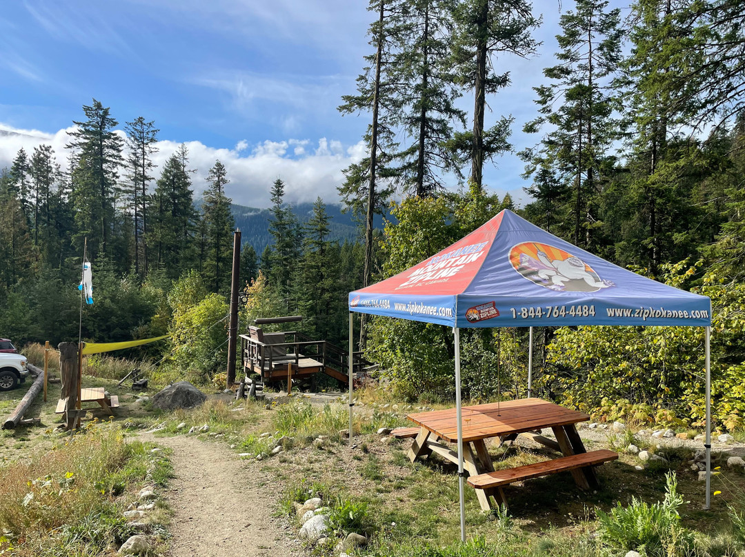Kokanee Mountain Zipline景点图片
