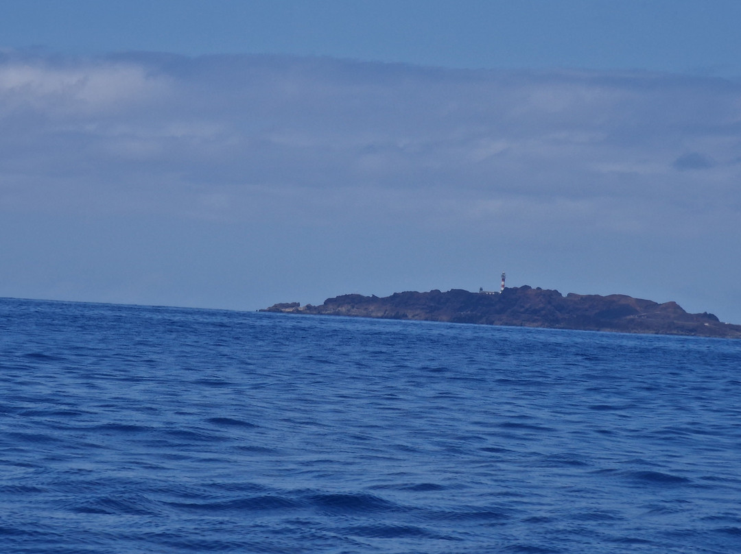 AD Boat Rental-洛斯·吉甘特斯必去景点