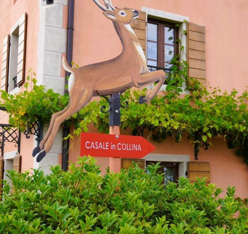 Casale in Collina主图