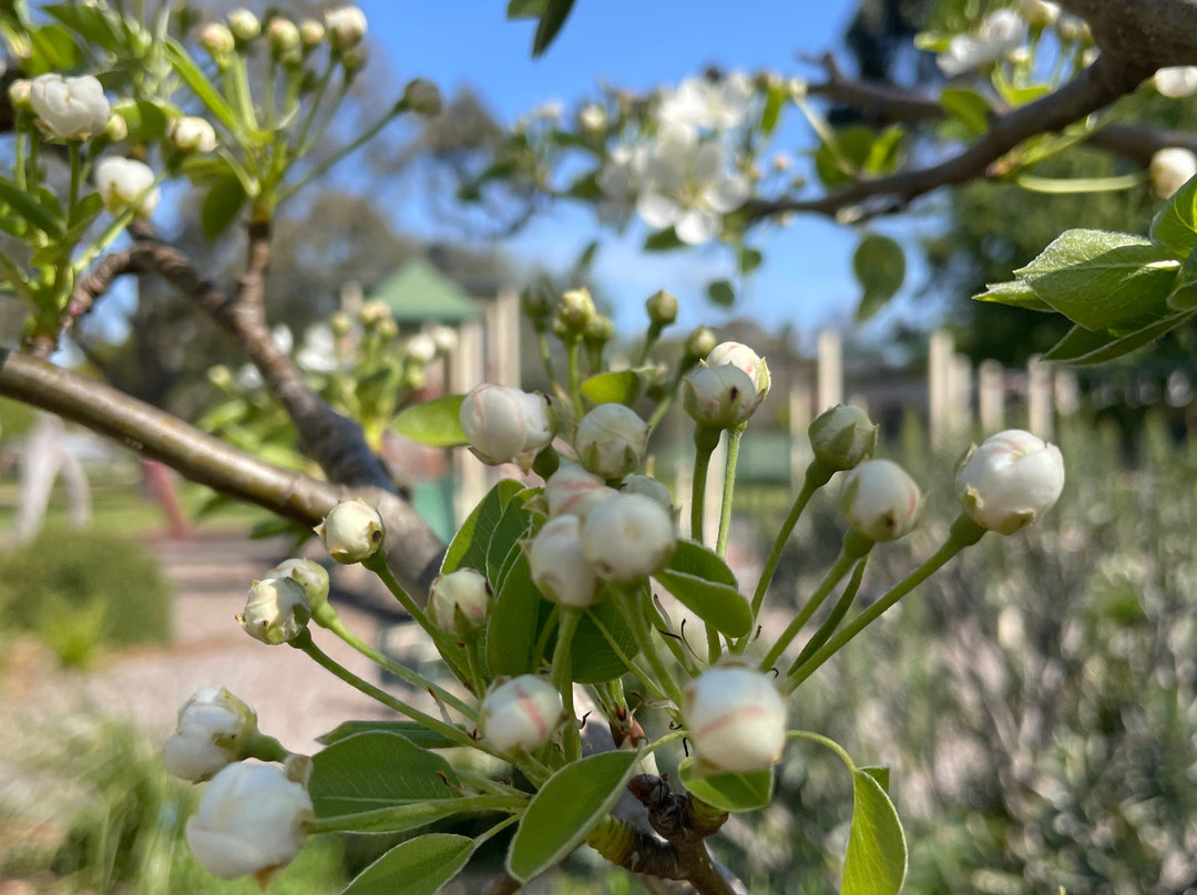 Birch Place Playground-塞尔必去景点