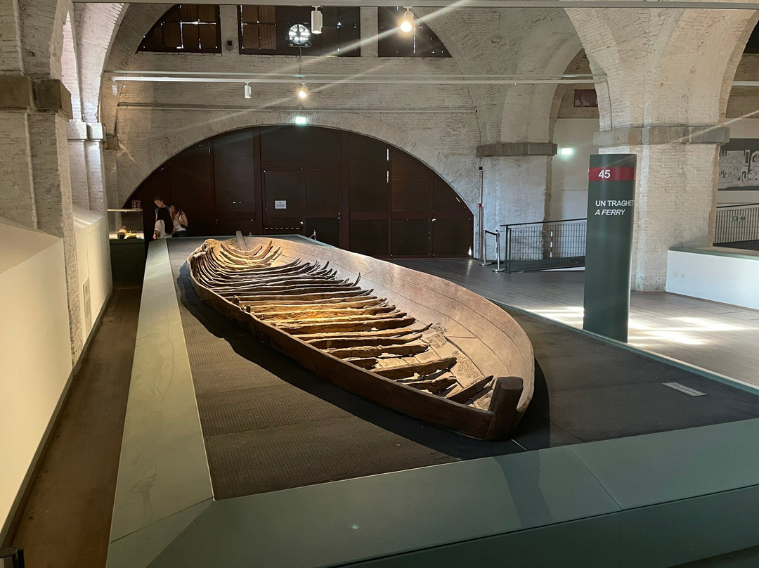 Cantiere Le Navi Antiche di Pisa-比萨必去景点