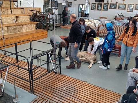 Estancia San Guillermo-马德林港必去景点