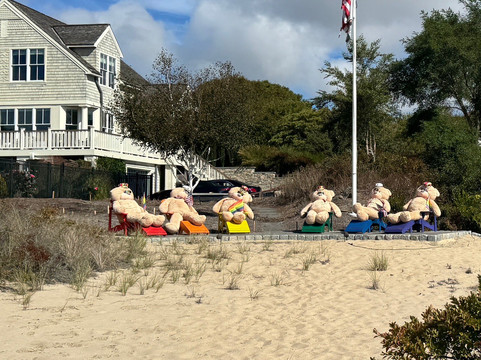 Mayflower Trolley-普罗温斯敦必去景点