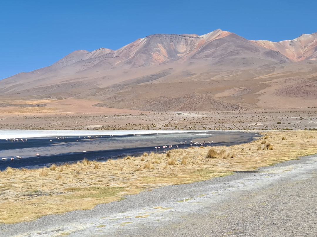 Encanto del SUD Tour Operator-Tupiza必去景点