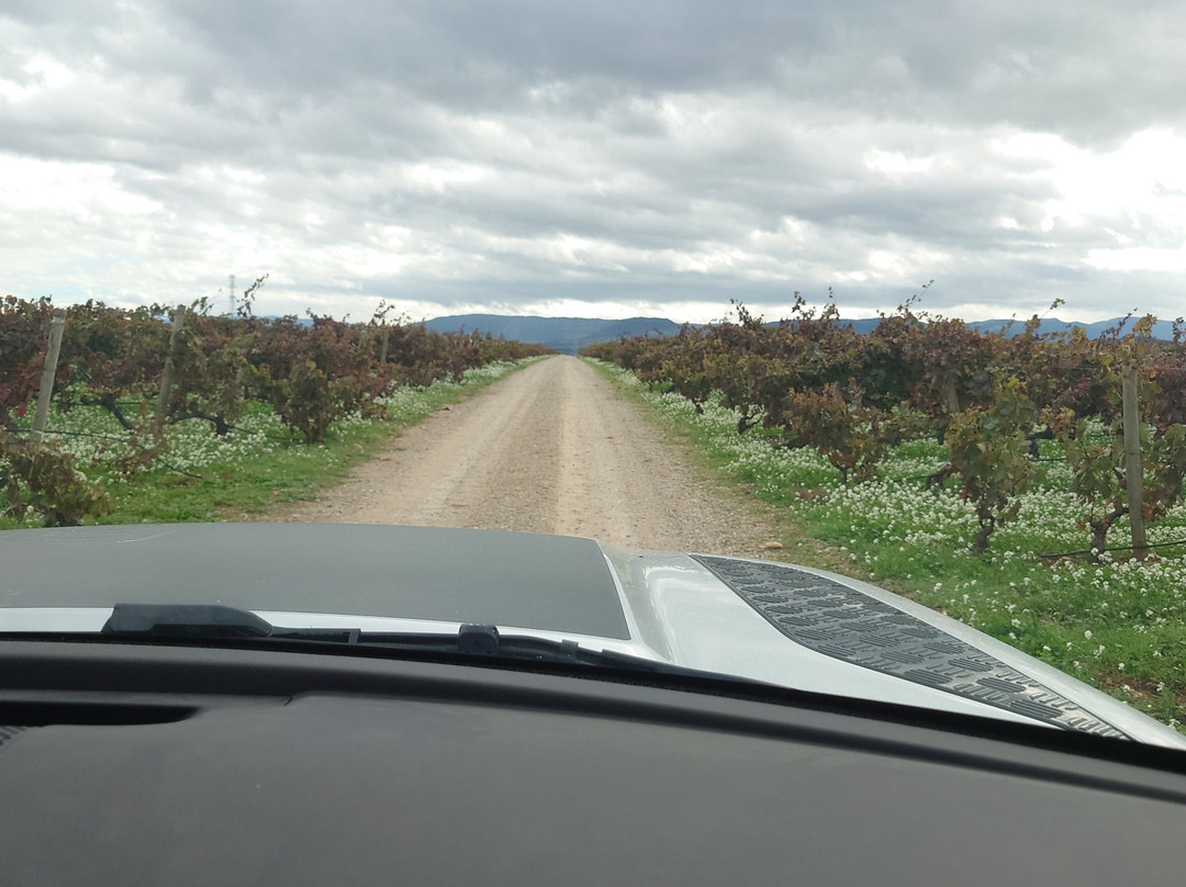 Bodegas Campo Viejo-洛格罗尼奥必去景点