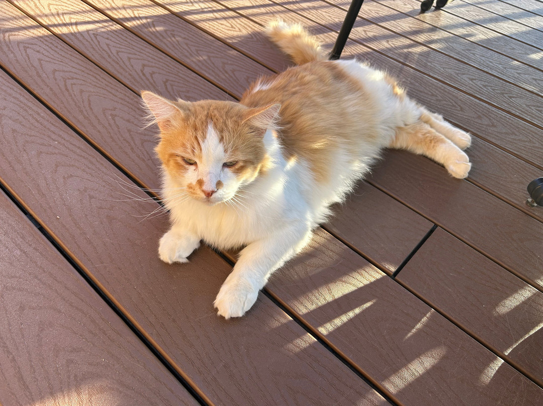 Nature's Inn Bed & Breakfast主图