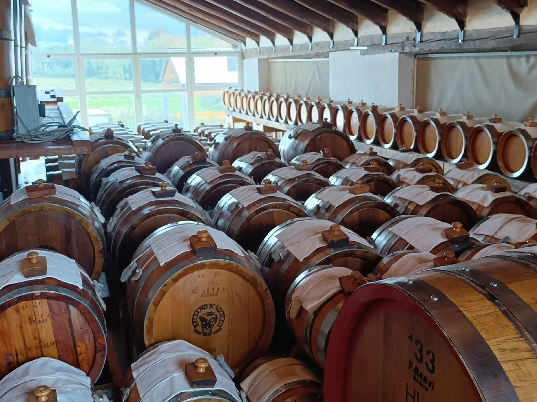 Acetaia Midolini-Manzano必去景点