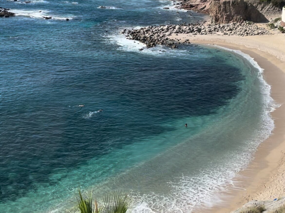 Sirena del Mar的凯悦度假俱乐部主图