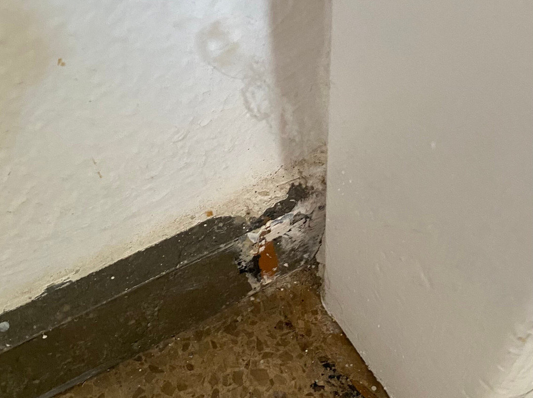 里约皮埃德拉斯公寓酒店主图