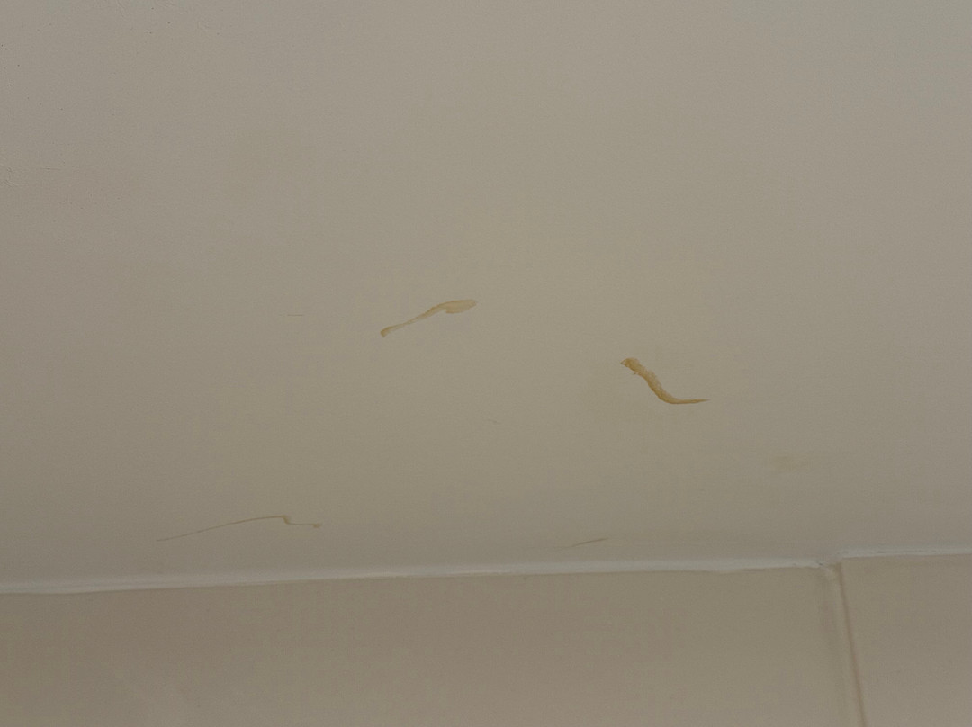 Holiday Inn Express Harrisburg NE by IHG主图