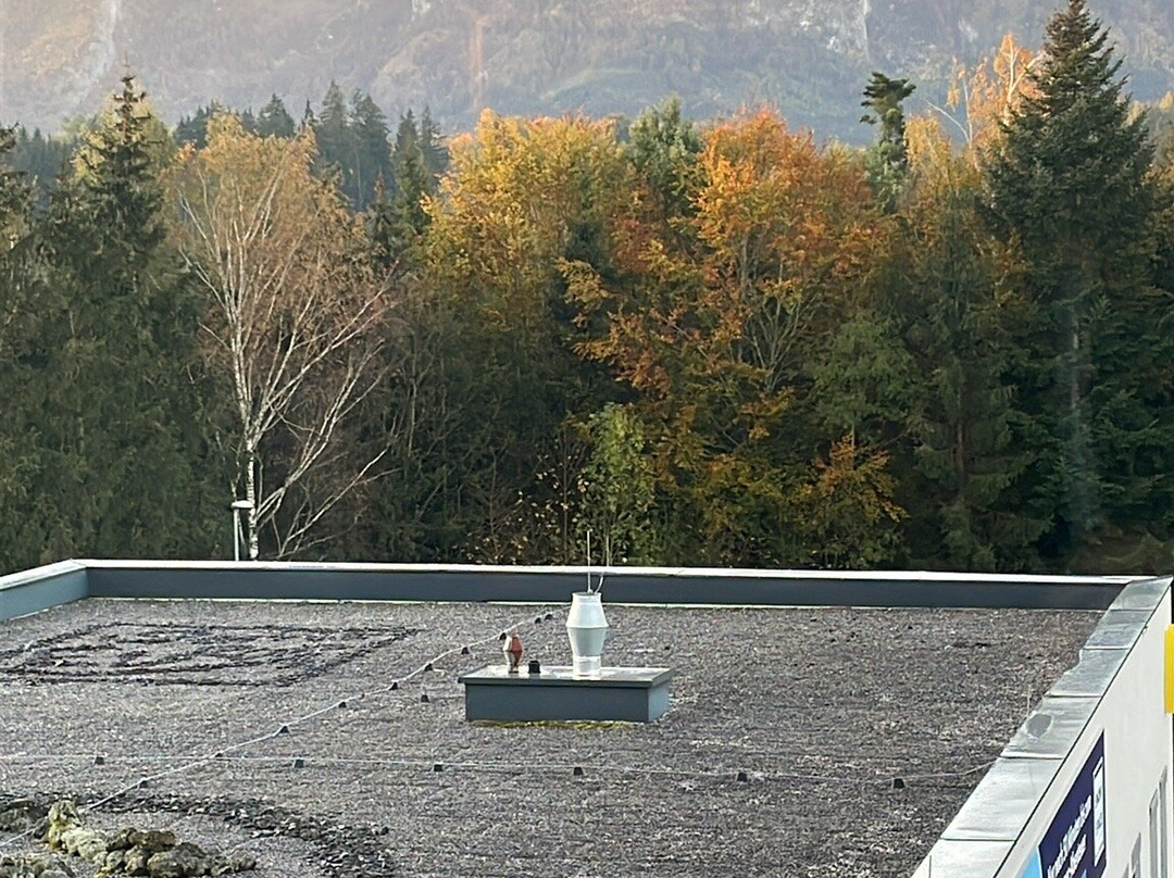 Best Western Hotel Am Walserberg主图