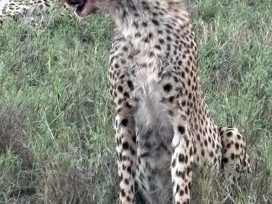 Best tour operator in Tanzania by Rede Tours and Safaris景点图片