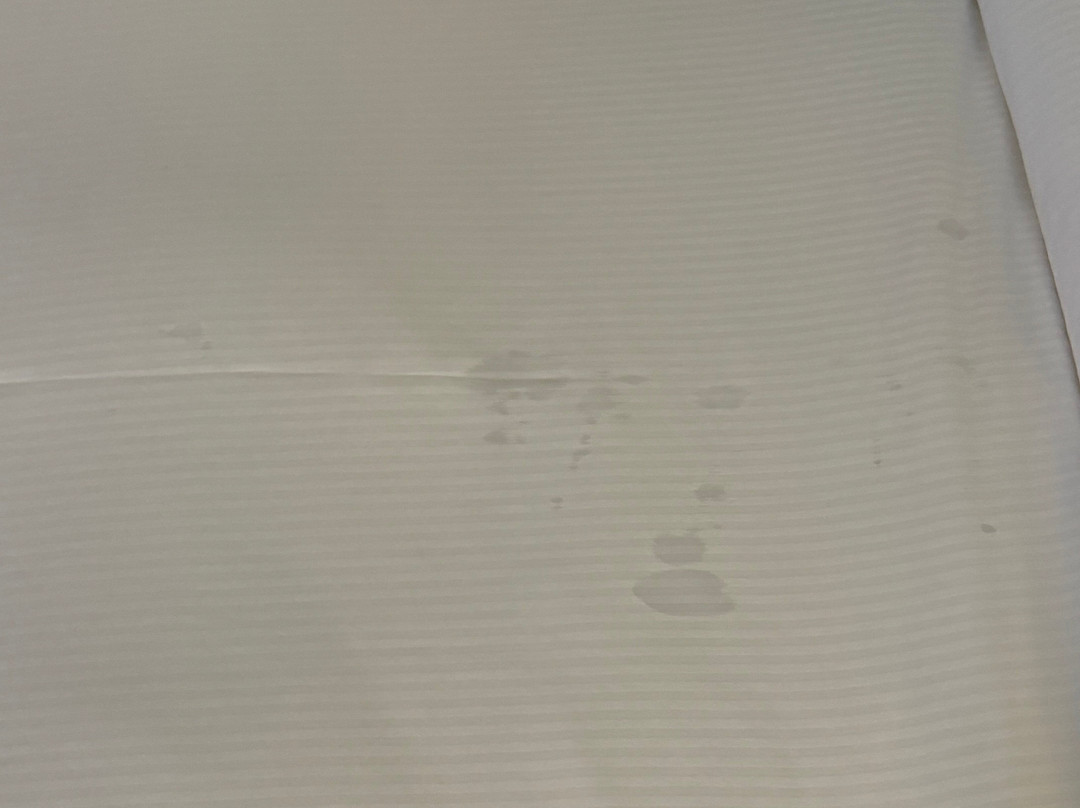 哈里斯堡希尔顿酒店主图