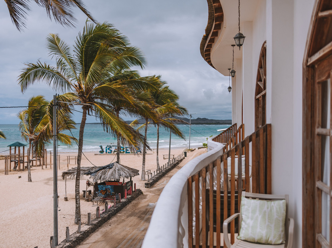 Hotel Albemarle主图