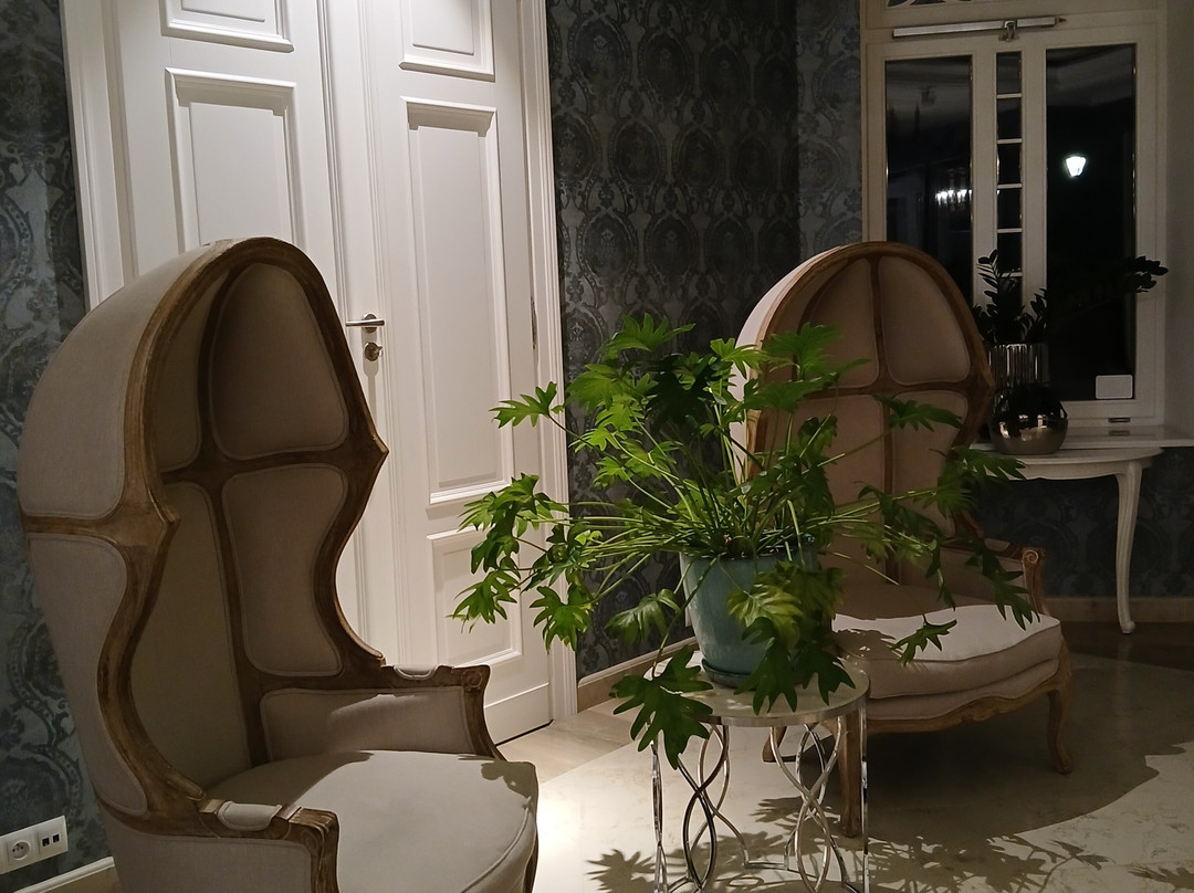Hotel Palac na Opieszynie主图