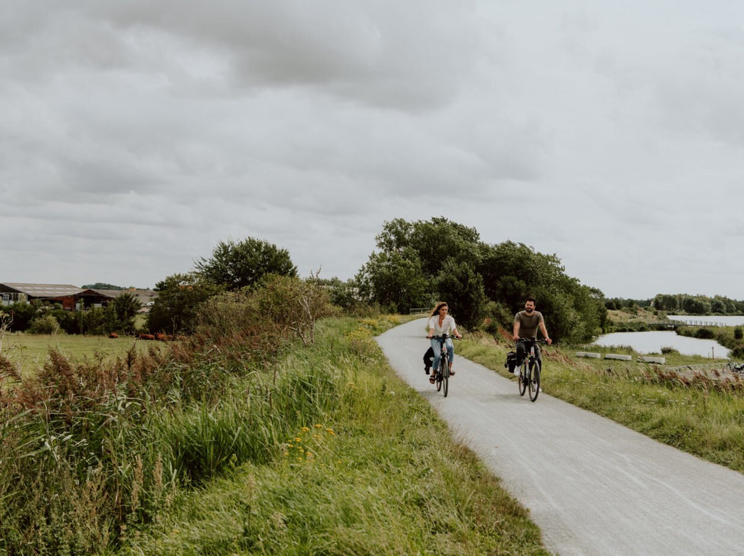 Sealov Hébergements Insolites- Linge, ménage et vélos Inclus