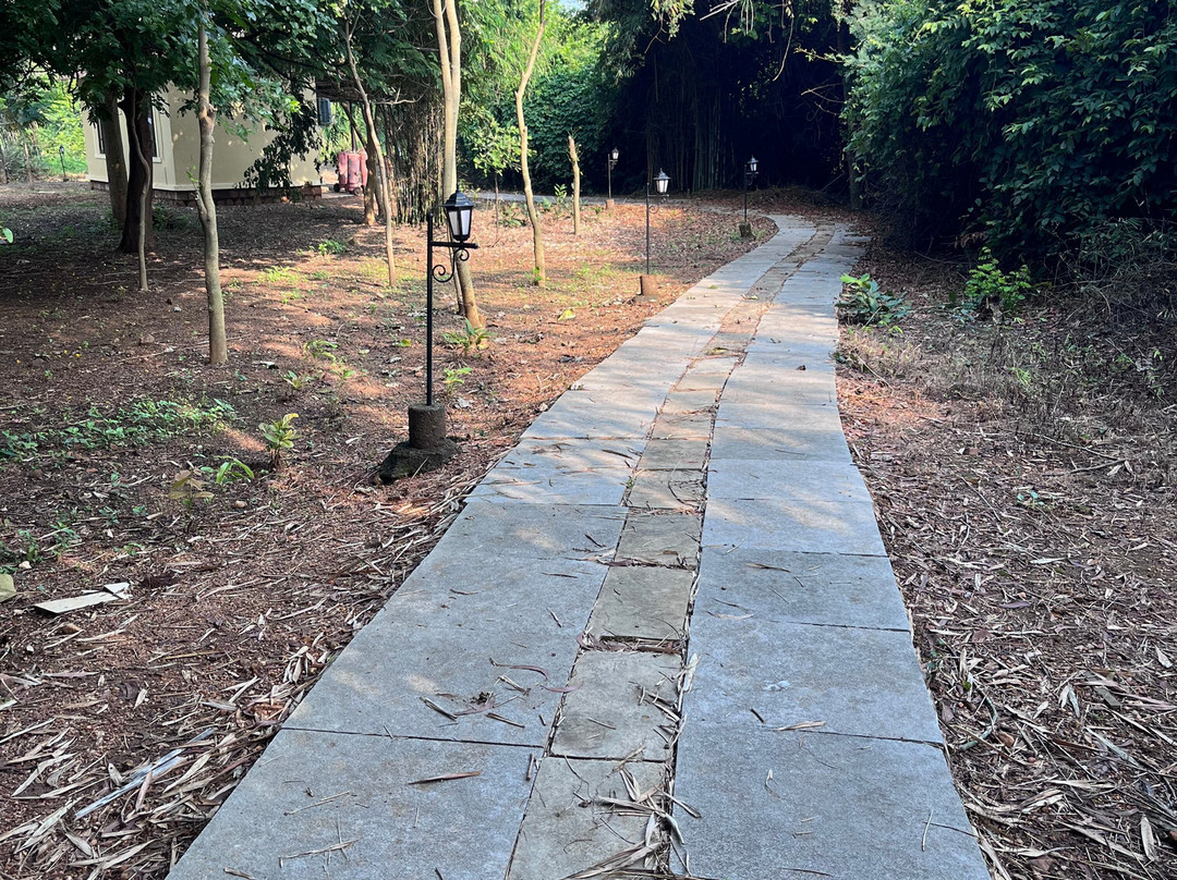 Irai Safari Retreat主图