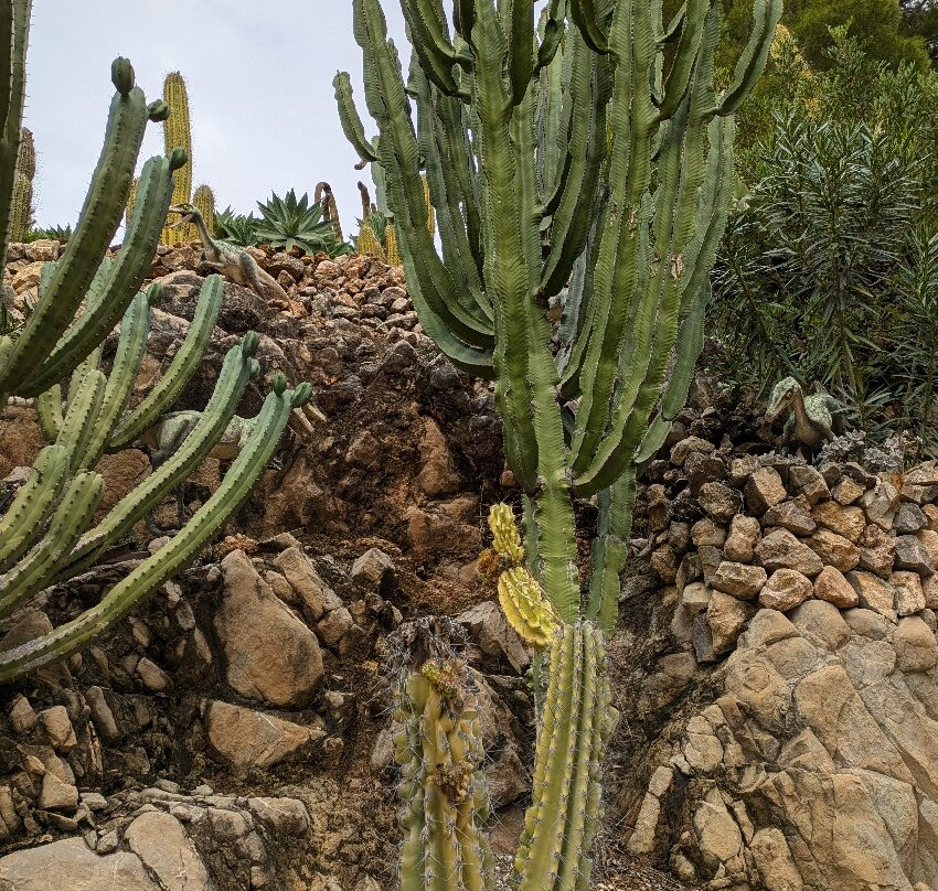 DinoPark Algar景点图片