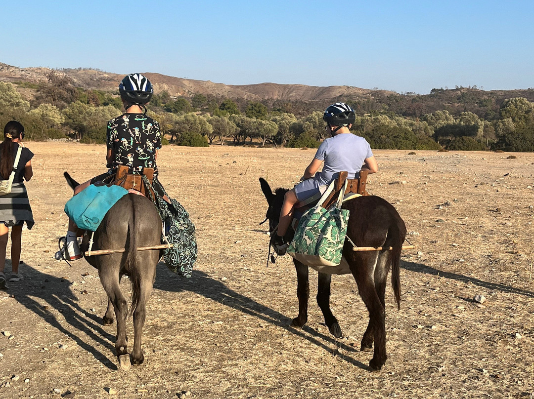 Donkey Cruise-Asklipiio必去景点