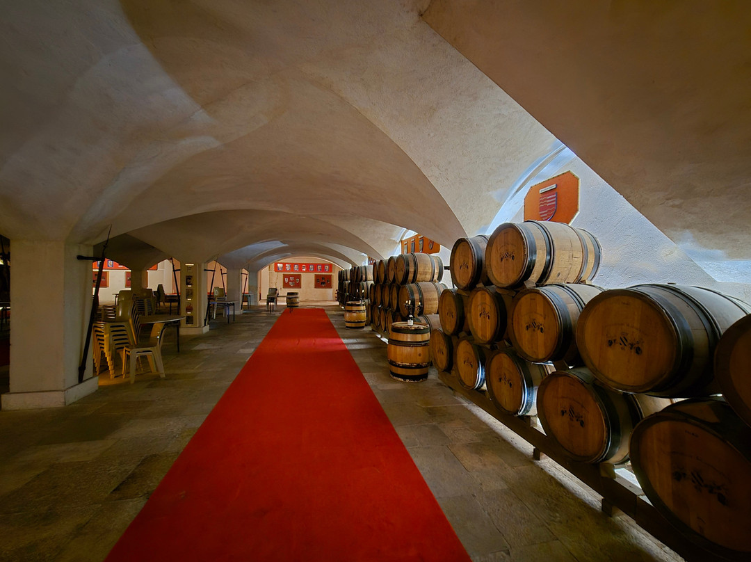 Château de Marsannay-马沙内丘必去景点