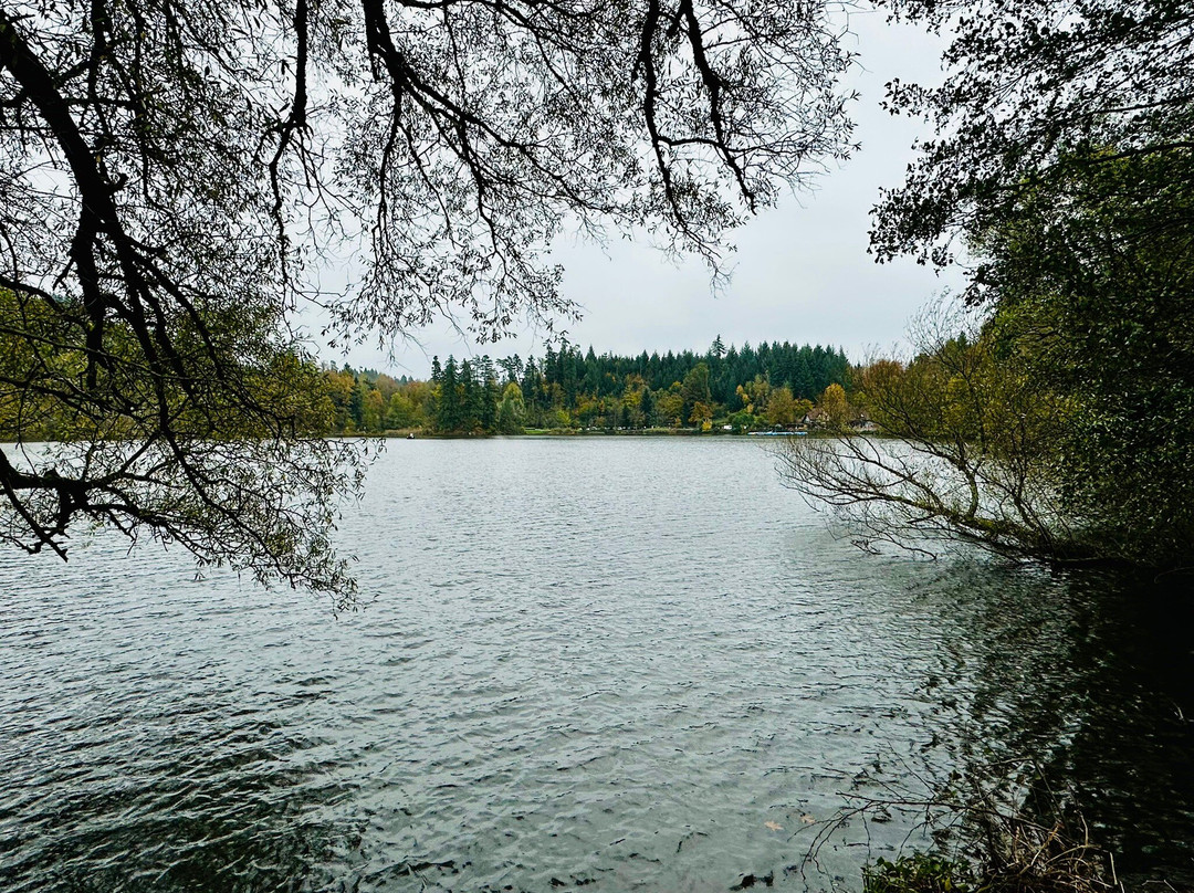 Bergsee-Bad Sackingen必去景点