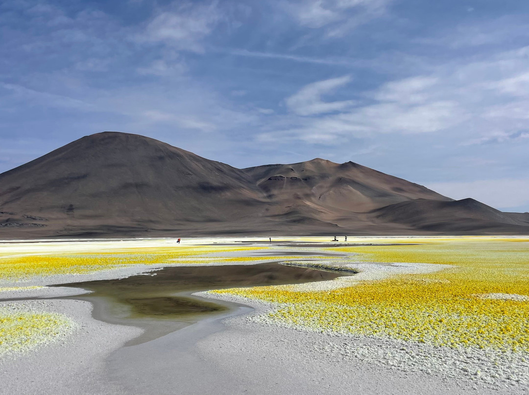 Tour Operador Puna de Atacama