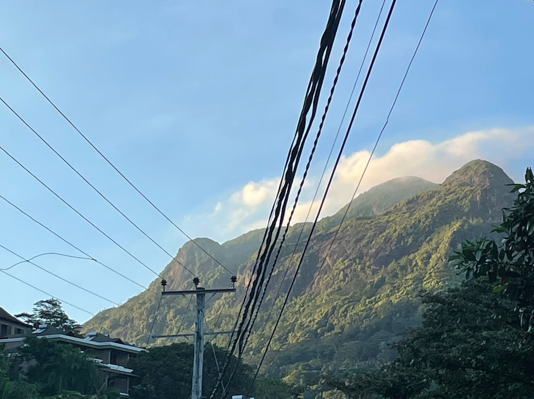 Romance Bungalows主图