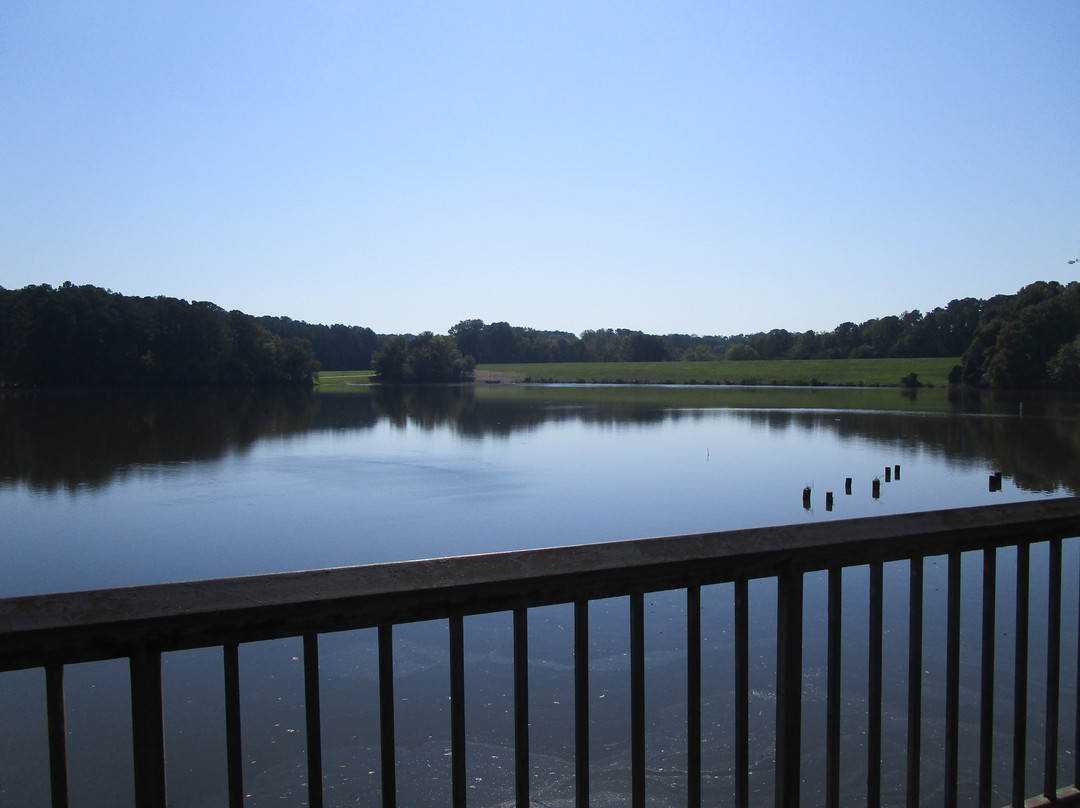 Shelley Lake Park景点图片
