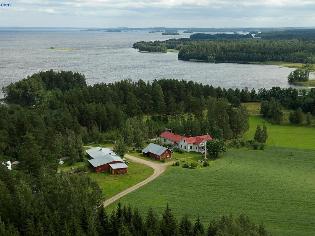 Karvisen Kissanpaivat