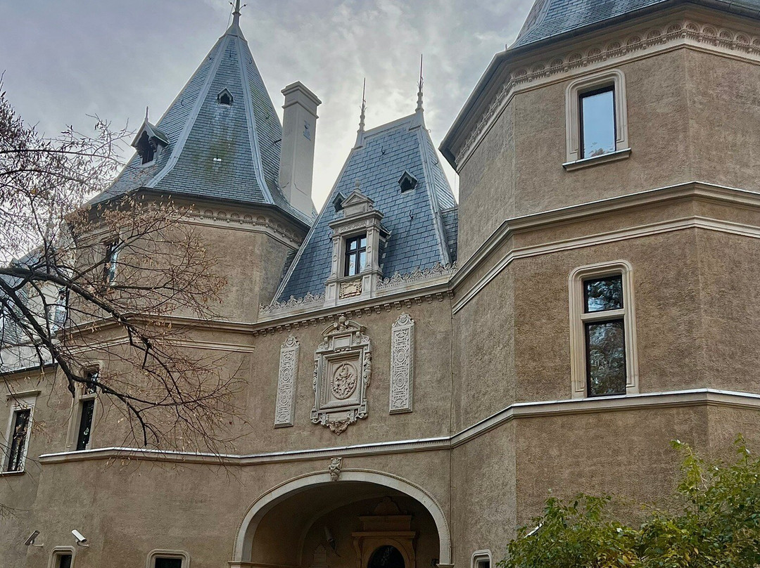Goluchow Castle景点图片
