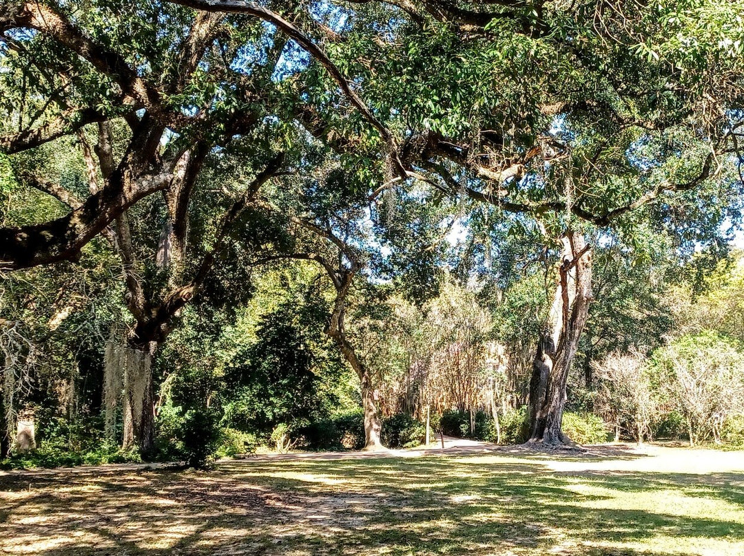 Audubon State Historic Site景点图片