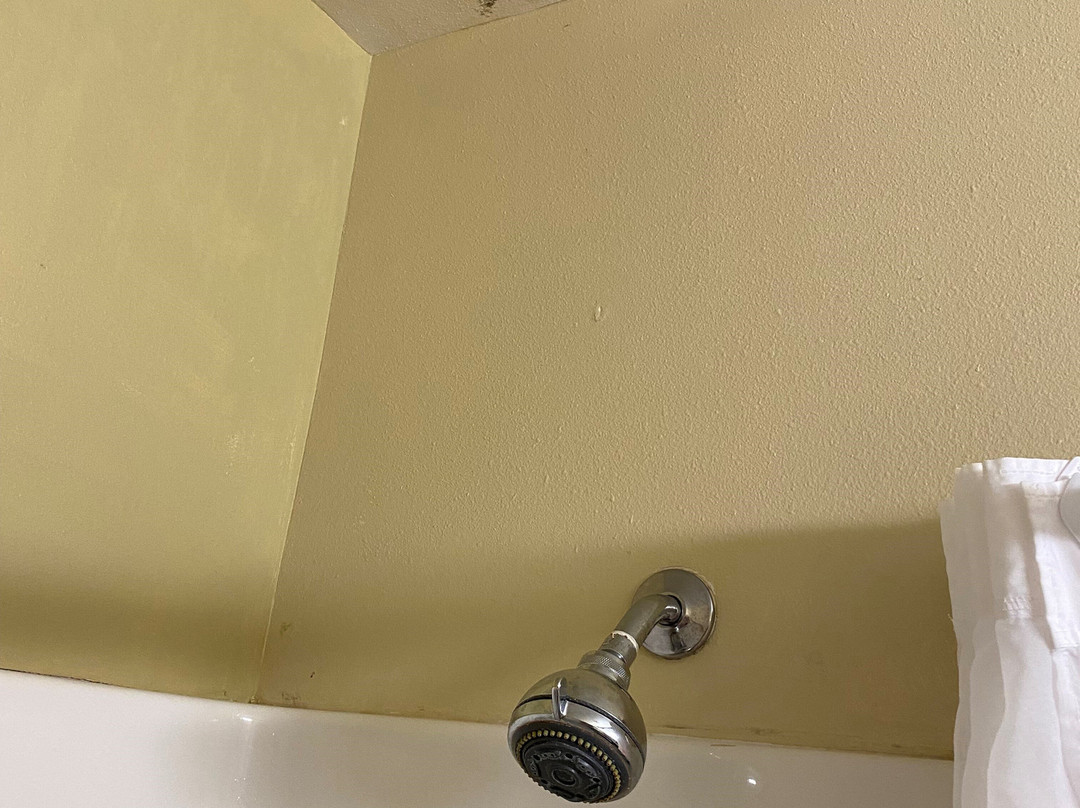 La Quinta Inn & Suites By Wyndham Helena主图