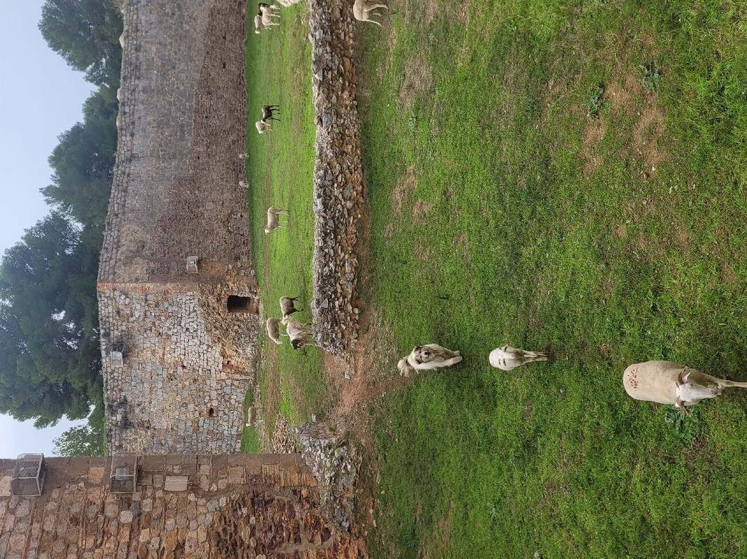 Forteresse de Salses景点图片