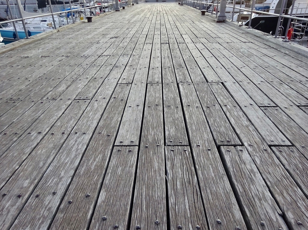 Larnaca Marina-拉纳加必去景点