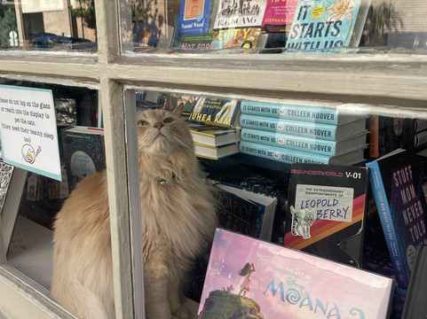 E Shaver Bookseller-萨凡纳必去景点