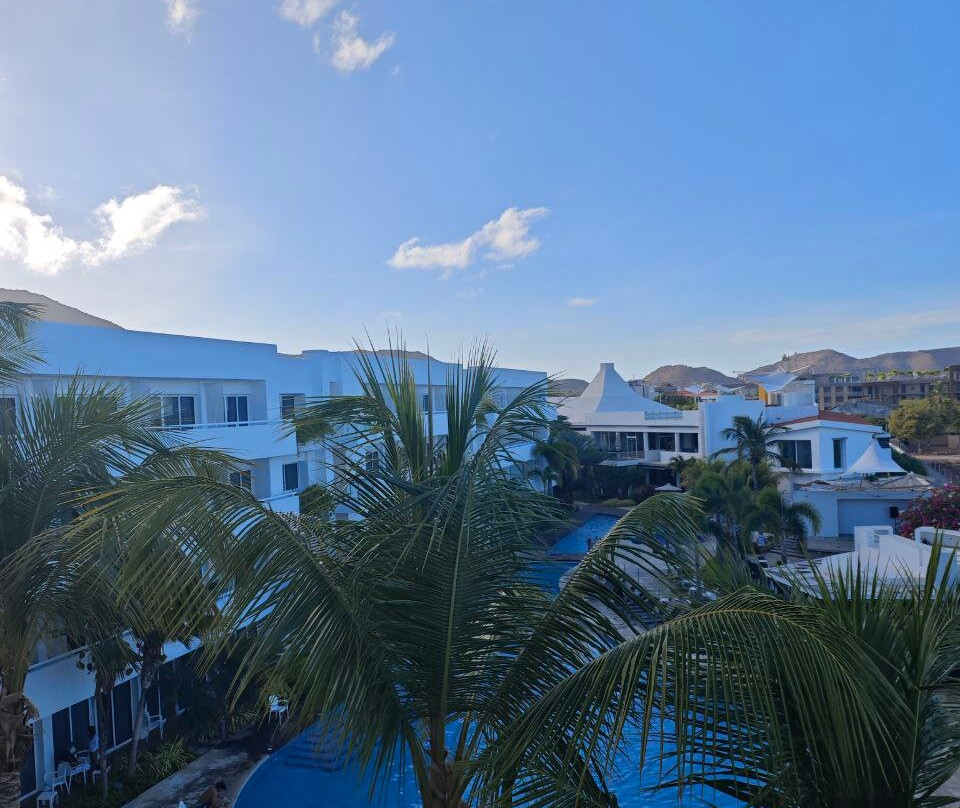 LD Plus Palm Beach主图