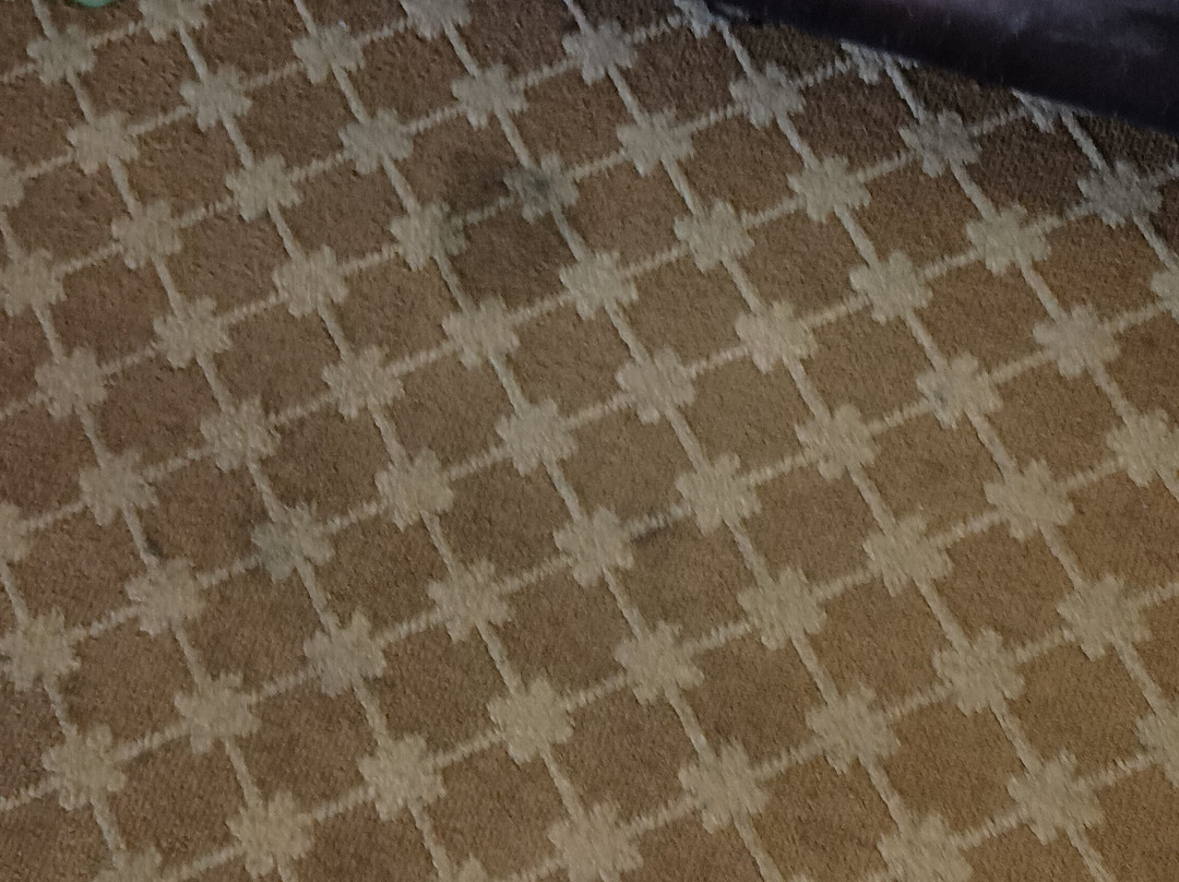 Quality Inn & Suites主图