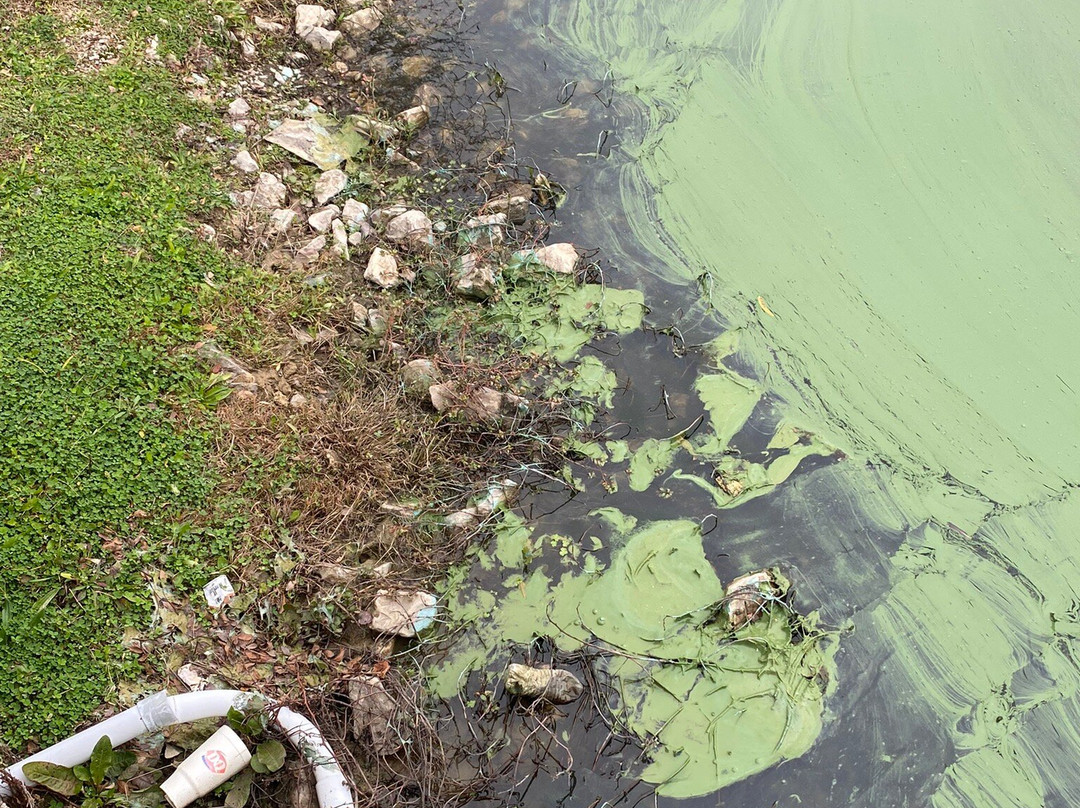 Manaugh Memorial Park-Austin必去景点