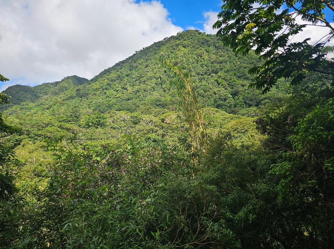 EVACC Foundation - El Valle Amphibian Conservation Center Foundation景点图片