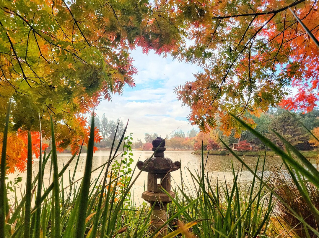Clark Bonsai Museum-弗雷斯诺必去景点