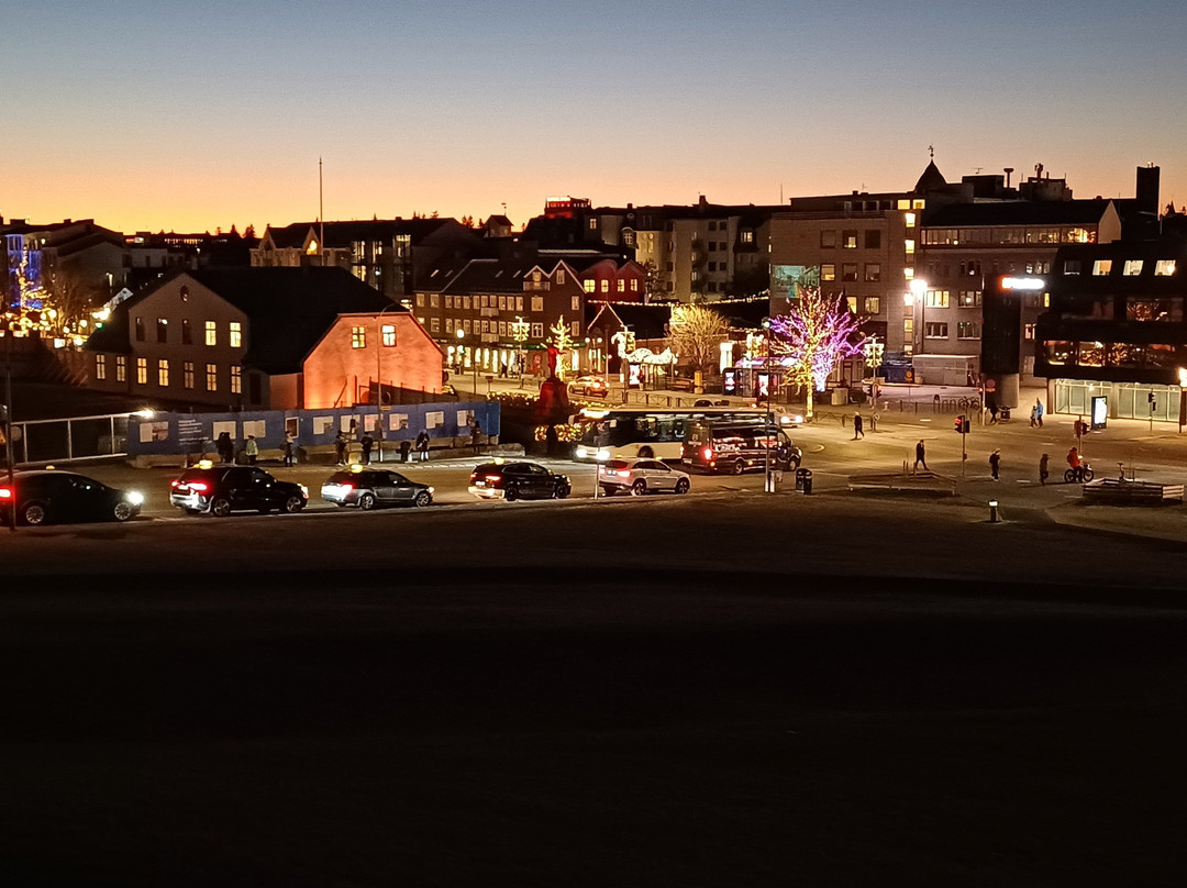 阿娜尔沃尔中央酒店主图