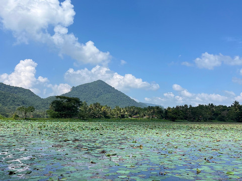 Priyan Tours-科伦坡必去景点