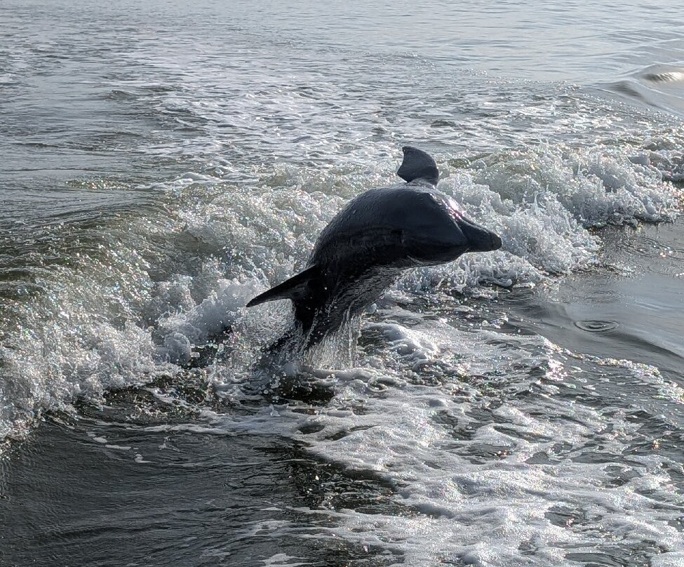 Everglades Fishing Adventures-大沼泽地必去景点