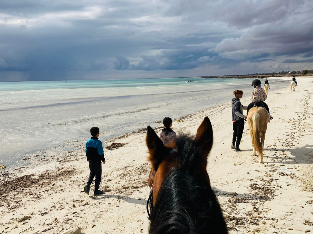 Ranch Adada Djerba-阿基尔必去景点