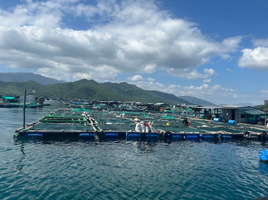 Vietnam Fantastic-芽庄必去景点